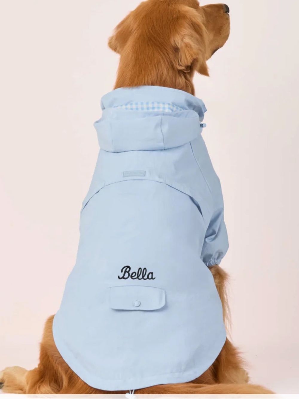 The Foggy Dog - Sky Blue Dog Raincoat XL - Picture 8 of 9